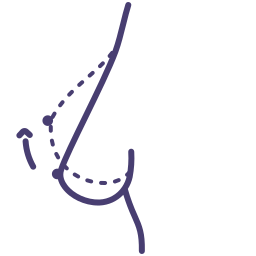 Грудь Грудь